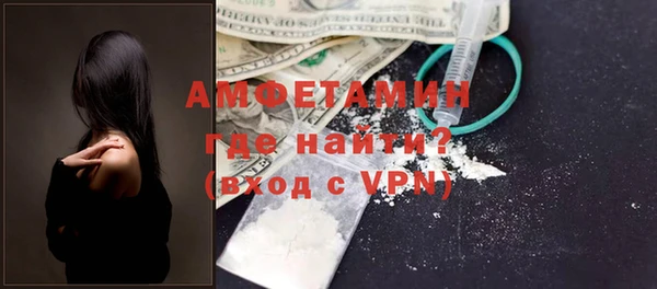шишки Дмитровск