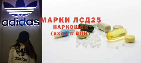 spice Дмитриев