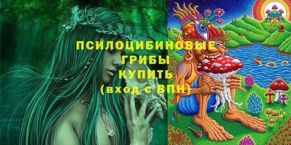 крисы Россошь