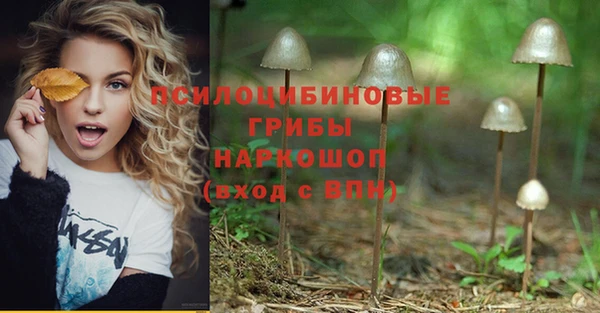 крисы Россошь