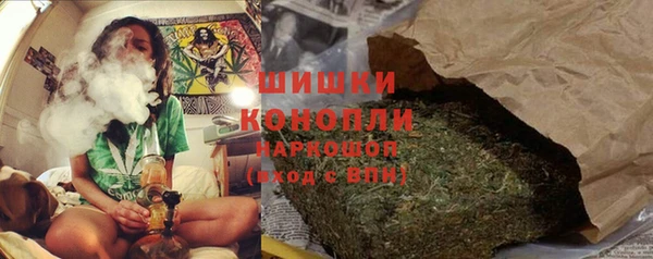 крисы Россошь