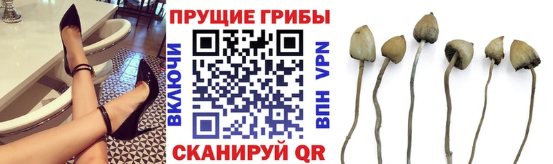 Псилоцибиновые грибы прущие грибы  Сосновоборск 