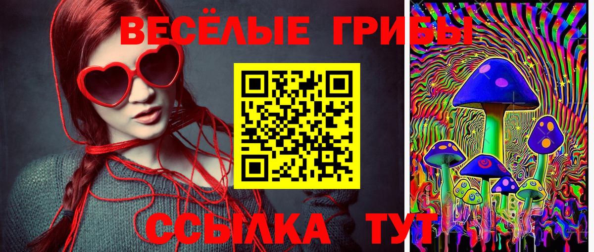 Галлюциногенные грибы мицелий Сосновоборск