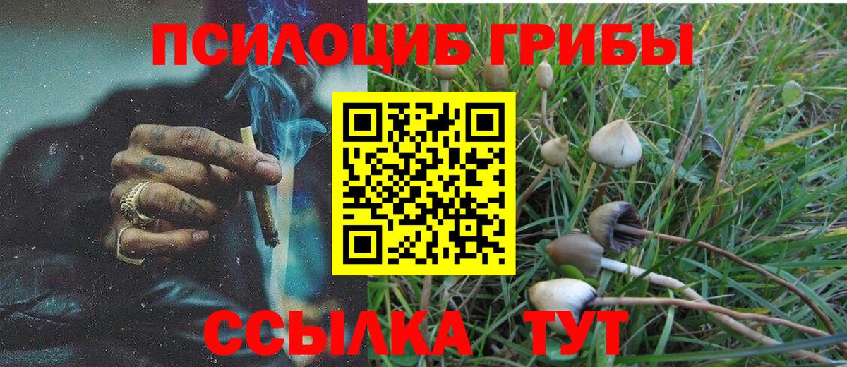 Галлюциногенные грибы прущие грибы  Вход с VPN  Сосновоборск 