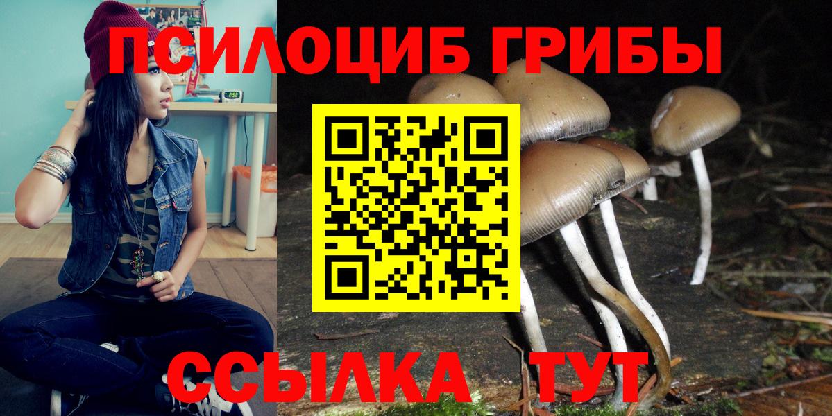 Галлюциногенные грибы Psilocybine cubensis  Сосновоборск  Галлюциногенные грибы GOLDEN TEACHER 